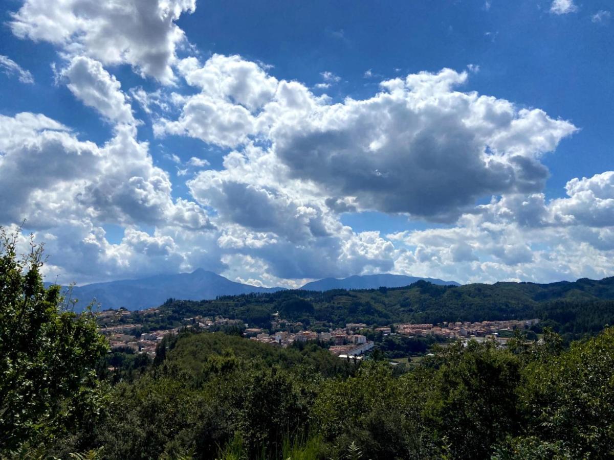 Casa Olivera- Apartament Al Passeig Font Vella Sant Hilari Sacalm Εξωτερικό φωτογραφία